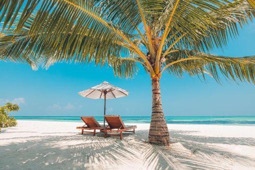 Gorgeous Beachy Chic Condo In Key Biscayne Майами Экстерьер фото